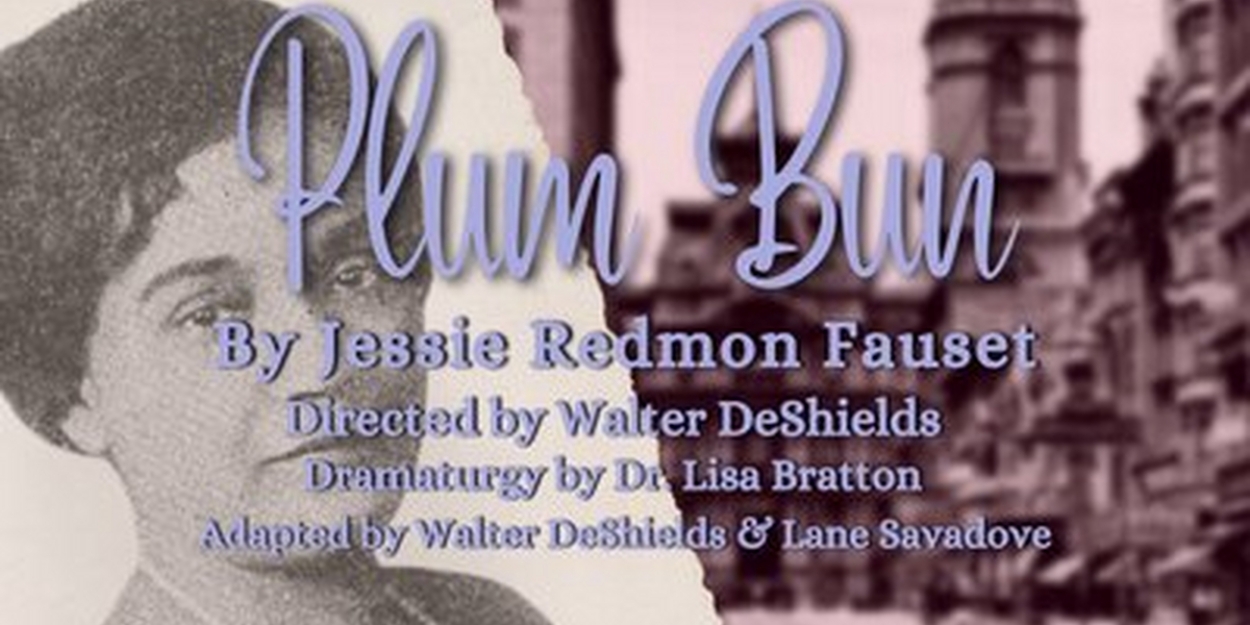 EgoPo To Present World Premiere Performances of Harlem Renaissance Novel PLUM BUN This April - Vimarsana News