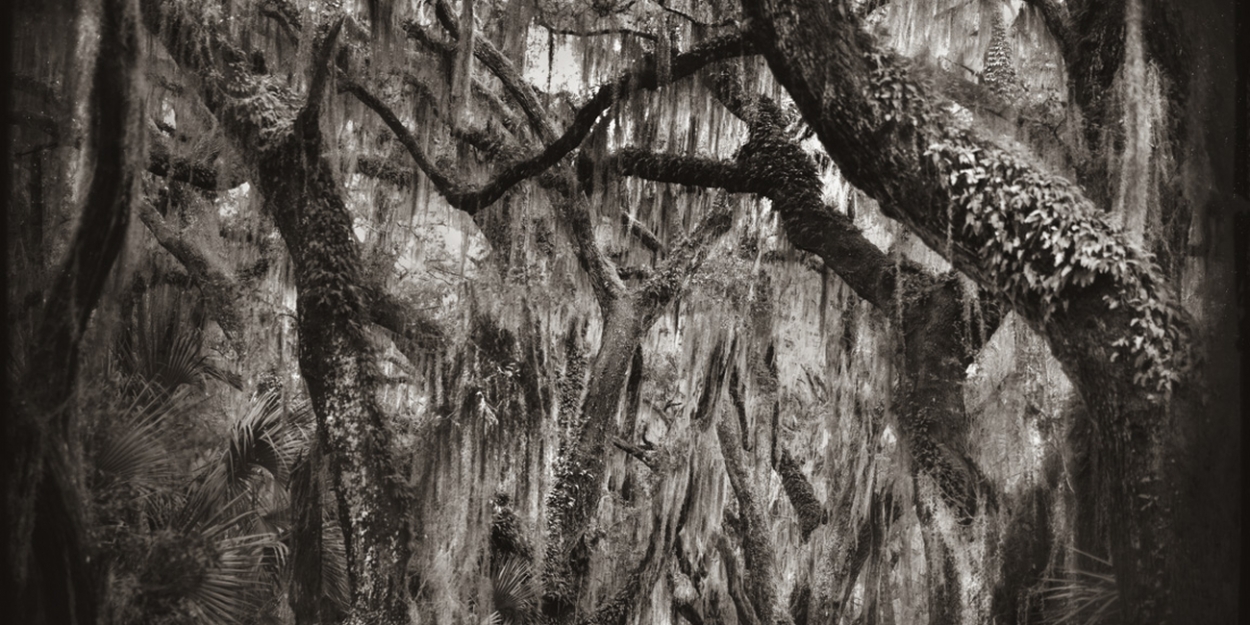 Palm Beach Photographic Centre to Host FOTOFUSION 2021 - Vimarsana News