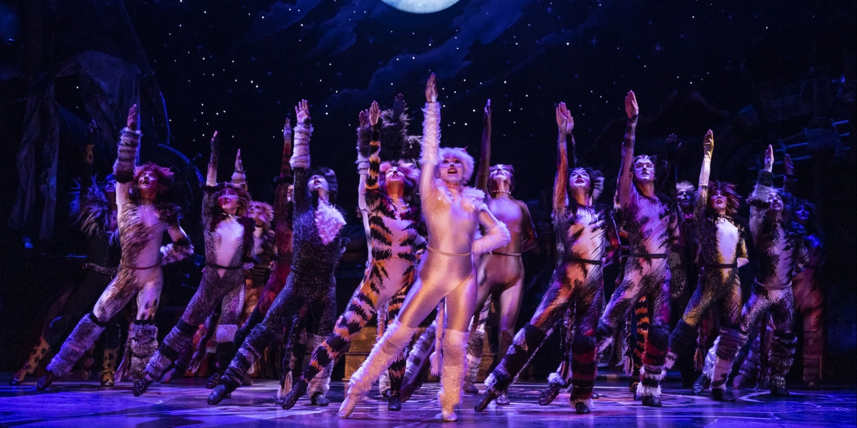 Review: CATS Makes A Triumphant Return to Ottawa at the National Arts Centre - Vimarsana News
