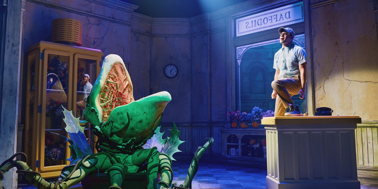 Jeremy Jordan Will Return to LITTLE SHOP OF HORRORS This Summer 