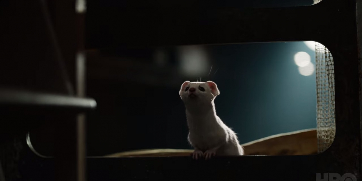 VIDEO: Watch a Clip from HIS DARK MATERIALS on HBO Video
