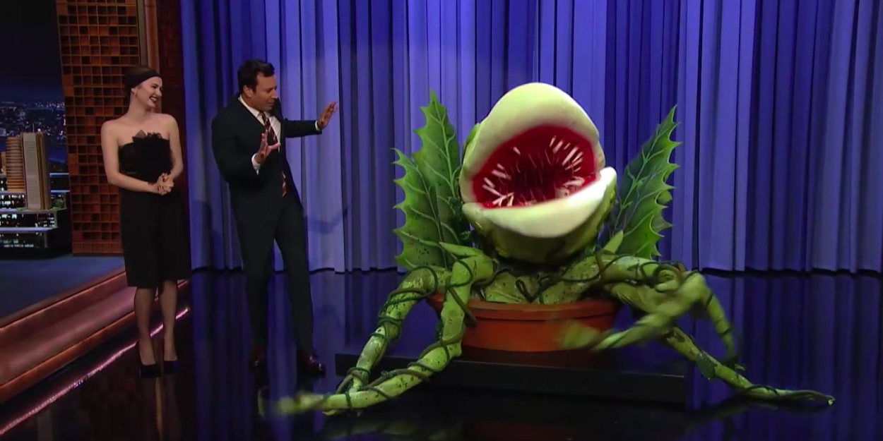 Maude Apatow Brings Audrey II From LITTLE SHOP to FALLON Video