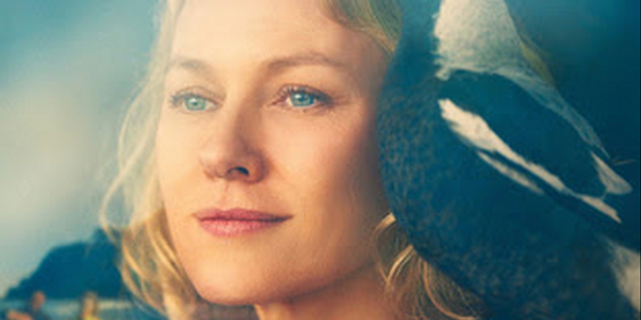 VIDEO Watch the Trailer for PENGUIN BLOOM on Netflix