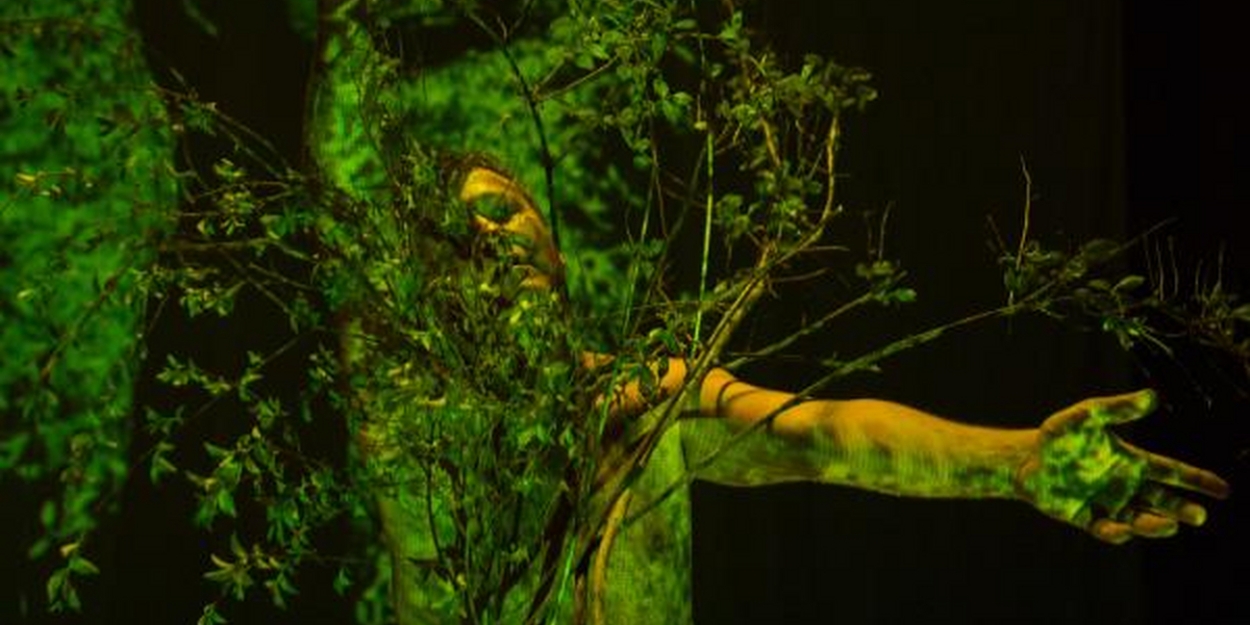 Jersey City Theater Center Presents CANCER, CHOREOGRAPHED - Vimarsana News
