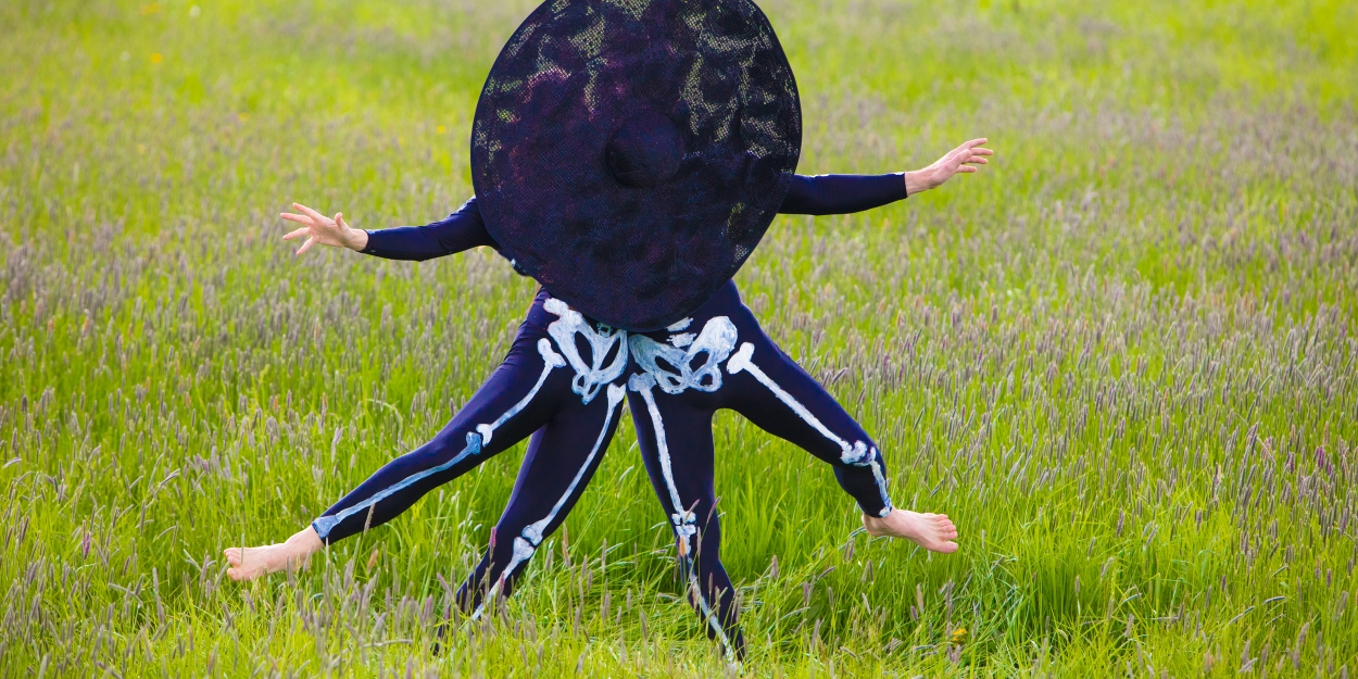 Pilobolus to Premiere BLOOM: A JOURNEY Roving Car Safari Performance - Vimarsana News