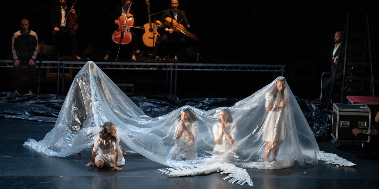 Review: Michael Keegan-Dolan/Teaċ Daá��sa's Loch na hEala (Swan Lake) Ultimately Proves Childhood Joy is Universal - Broadway World