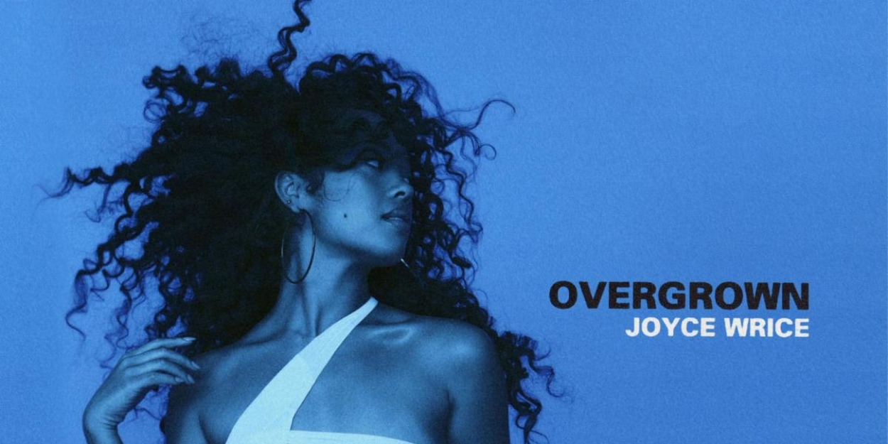 JOYCE WRICE OVERGROWN レコード LP ジョイス ライス 6vst3 ...