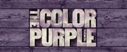 Terrence J. Smith, Tiffany Elle Burgess, and Aba Arthur Join THE COLOR PURPLE Film