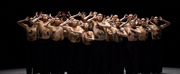 David Hallberg Joins The Cast In The Australian Ballets KUNSTKAMER Live-Streamed
