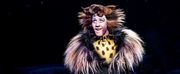 BWW Review: CATS at Kentucky Performing Arts