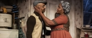 Review Roundup: Critics Weigh In On A RAISIN IN THE SUN At The Public Theater