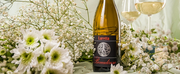 LURETTA Italian Wines – Discover Traditional and New Expressions