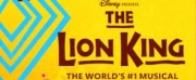 THE LION KING Opens At The Eccles Theater