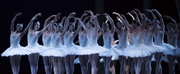 BWW Review: PACIFIC NORTHWEST BALLETS “SWAN LAKE” RETURNS TO THE STAGE at McCa