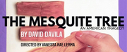Teatro Audaz Presents David Davilas THE MESQUITE TREE