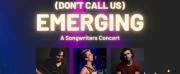 DONT CALL US EMERGING: A SONGWRITERS CONCERT is Coming to the Kraine Theatre in December