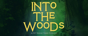 The Rose Center Theater to Present INTO THE WOODS