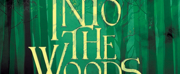 INTO THE WOODS Comes to The Old Opera House Theatre Company in April