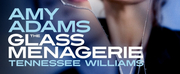 Save Up To 41% on THE GLASS MENAGERIE Starring Amy Adams