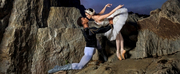 The Washington Ballet SWAN LAKE Opens February 9