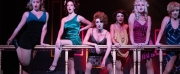 Review: SWEET CHARITY at Candlelight Music Theatre