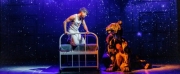 Review: LIFE OF PI, Wyndhams Theatre