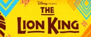 Sensory Friendly Performance Of Disneys THE LION KING Announced At At Bass Performance Hal