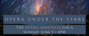 Opera Saratoga to Host 2022 Summer Festival Gala: OPERA UNDER THE STARS