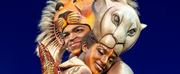 THE LION KING Cancels Performances Through December 29 at The Buell Theatre