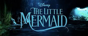Everything We Know About THE LITTLE MERMAID Live Action Remake