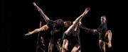 Feature: STEPHEN PETRONIO COMPANY: BLOODLINES/BLOODLINES (FUTURE) at Danspace Project