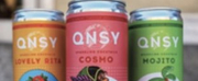 QNSY-The New RTD Cocktail