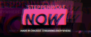 Steppenwolf Theatre Company Presents Virtual Productions with STEPPENWOLF NOW Photo