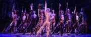 BWW Review: CATS Makes A Triumphant Return to Ottawa at the National Arts Centre