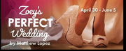 BWW Review: ZOEYS PERFECT WEDDING at TheaterWorks Hartford