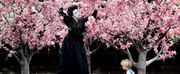 Opera Naples Hosts Exclusive Summer Opera Film Series Featuring MADAMA BUTTERFLY and More