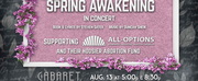 SPRING AWAKENING: In Concert Musical Benefit Concert Supports All-Options Hoosier Abortion
