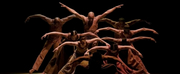 Review: ALVIN AILEY AMERICAN DANCE THEATER Presents a Marvelous Season at Lincoln Center