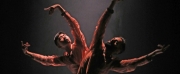 Aakash Odedra Companys New Dance Work SAMSARA is Coming to Birmingham Hippodrome This Mont