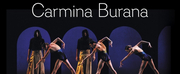 BWW Feature: Celebrate Nevada Ballet Theatre 50th Anniversary Season Finale—CARMIN B