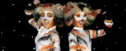 CATS Comes to ASB Waterfront Theatre Next Month