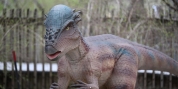 CAMELBACK RESORT in Tannersville, Pa. Announces 'Dinobeach' Photo
