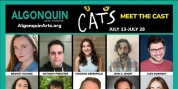Cast Set For CATS at Algonquin Arts Theatre Photo