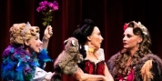 DISENCHANTED National Tour to Begin at Queens Theatre Photo