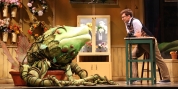 Jake Loewenthal To Play Seymour In Ford's Theatre's LITTLE SHOP OF HORRORS Photo