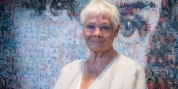 Judi Dench Criticizes Use of Trigger Warnings: 'If You're That Sensitive, Don't Go to the  Photo