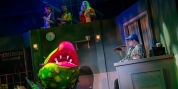 Market House Theatre to Open 61st Season With LITTLE SHOP OF HORRORS Photo