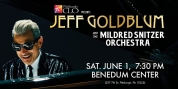 Pittsburgh CLO Presents Jeff Goldblum & The Mildred Snitzer Orchestra At The Benedum Cent Photo