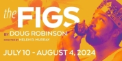 Previews: THE FIGS at American Stage Photo