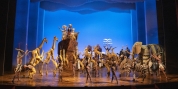 Review: Disney's THE LION KING Rules Once More at OC's Segerstrom Center Photo